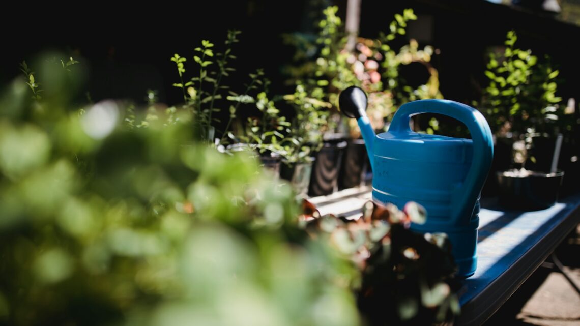 Kan man tage på camping, mens mine planter overlever med selvvanding?