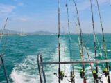 a bunch of fishing rods on a boat in the water